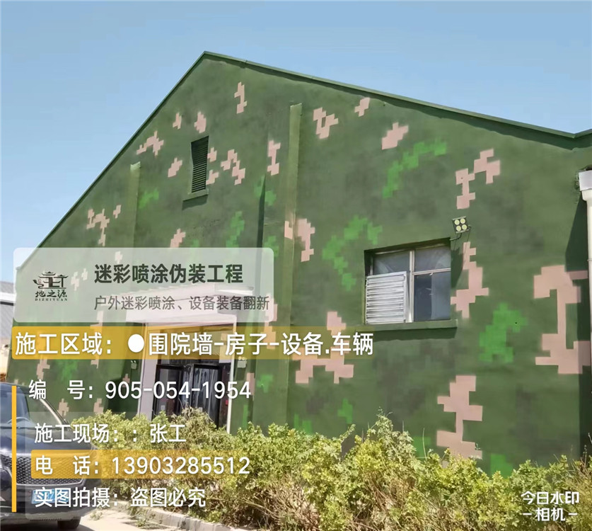 阜阳外墙数码迷彩漆施工报价清单（100㎡标准墙面测算）